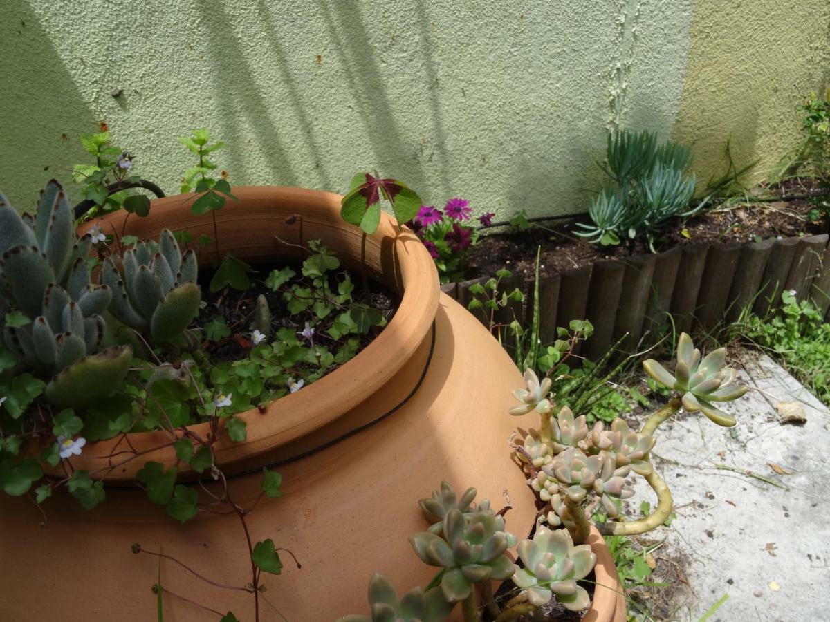 Jardin D'Olisipo - Centre Ville Lizbona Zewnętrze zdjęcie